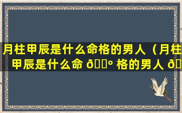 月柱甲辰是什么命格的男人（月柱甲辰是什么命 🌺 格的男人 🌳 呢）